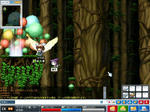 maple_026.jpg
