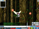 maple_028.jpg