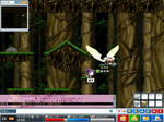 maple_031.jpg