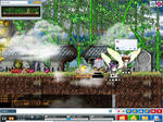 maple_034.jpg