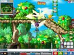 maple_041.jpg