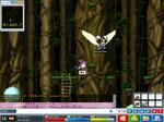 maple_045.jpg