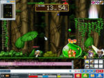 maple_056.jpg