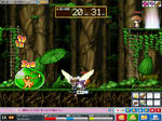 maple_064.jpg