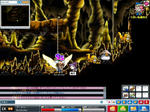 maple_075.jpg