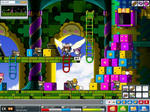 maple_081.jpg