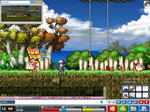 maple_093.jpg