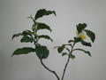 060e258a.JPG