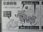ドム