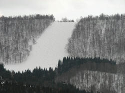 IMG_6224.JPG