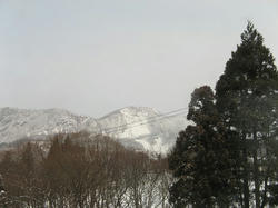 IMG_6229.JPG