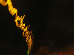 IMG_6246.JPG