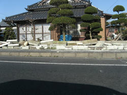IMG_7016.JPG