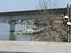 IMG_7029.JPG
