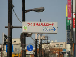 IMG_7505.JPG