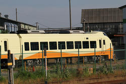 IMG_9474.JPG