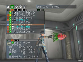 2010062907.jpg