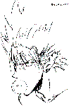 え