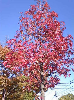 081112_141400.jpg
