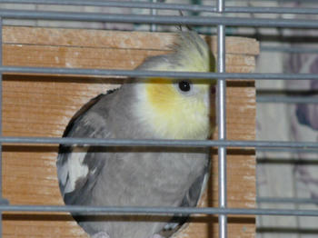 1046420a.JPG