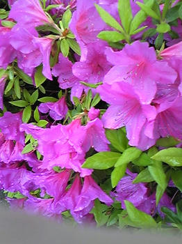 090507_141750.jpg