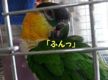 6040fabf.JPG