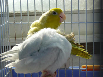 15527d0b.JPG