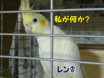 060ed601.JPG