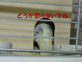 8779b9d9.JPG