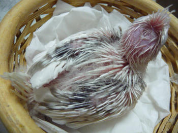 37f42f76.JPG