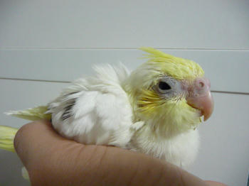 30c426d2.JPG
