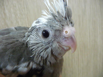 605cc449.JPG