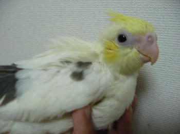 a6e95ac8.JPG
