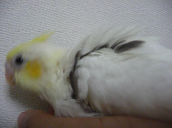 f9aa627f.JPG