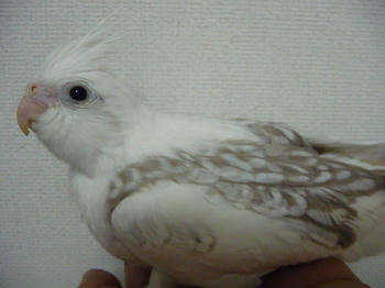 46aae59f.JPG