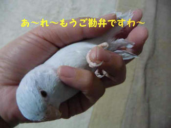 10f483ff.JPG