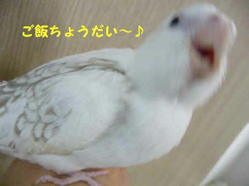 c1e1f478.JPG