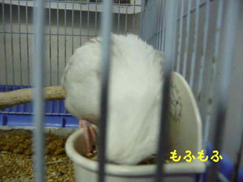 09c94780.JPG