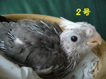d8b070b2.JPG