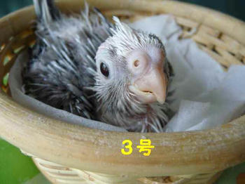 afc825ba.JPG