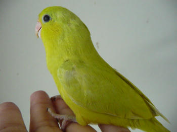 18c69517.JPG