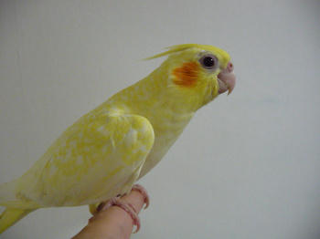 2b34ac90.JPG