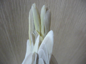 46434e46.JPG