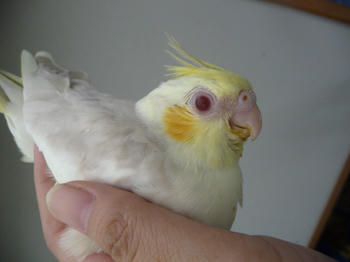 88425aa2.JPG