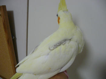 e3f50c08.JPG