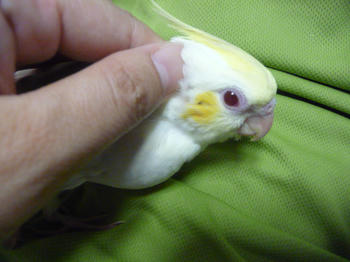 1aa25859.JPG