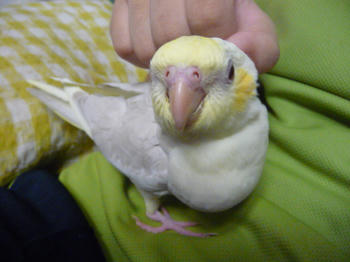 1267699c.JPG