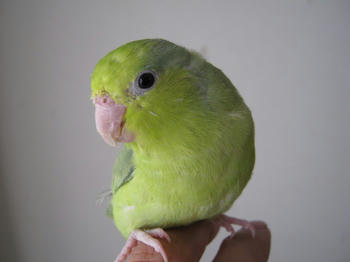 f1f1623d.JPG