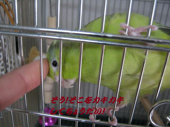 8b5b4745.JPG