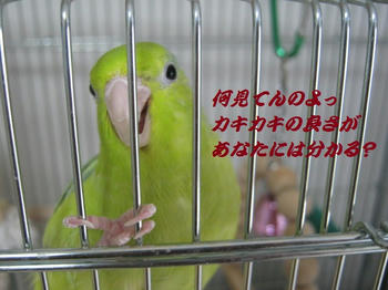 762cfc51.JPG